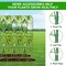 65" Tall Cucumber Trellis – 50" L x 65" H U-Shaped Metal Garden Support for Raised Beds, Ideal for Climbing Vegetables, Squash, Zucchini, Peas, Grapes, and Flower Vines, Outdoor Use